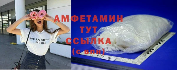 индика Балабаново