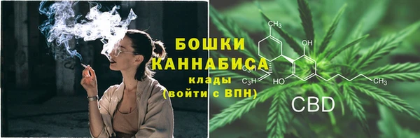 индика Балабаново