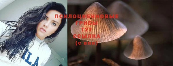 дмт Балахна