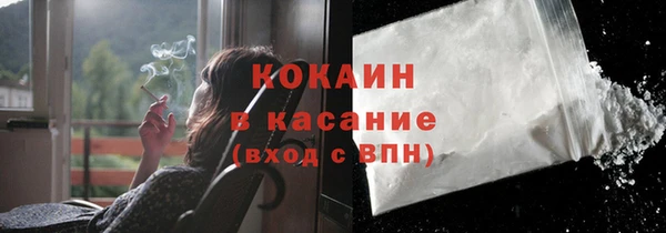 индика Балабаново