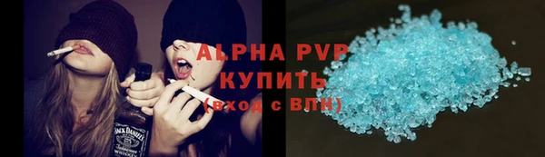 индика Балабаново