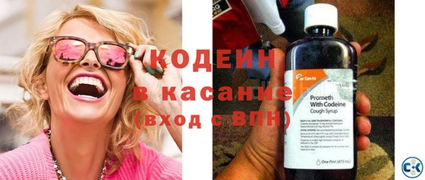 индика Балабаново