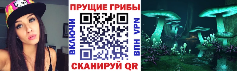 Псилоцибиновые грибы прущие грибы  Заозёрск 